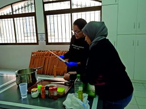 Novaterra: esperanza en forma de trabajo