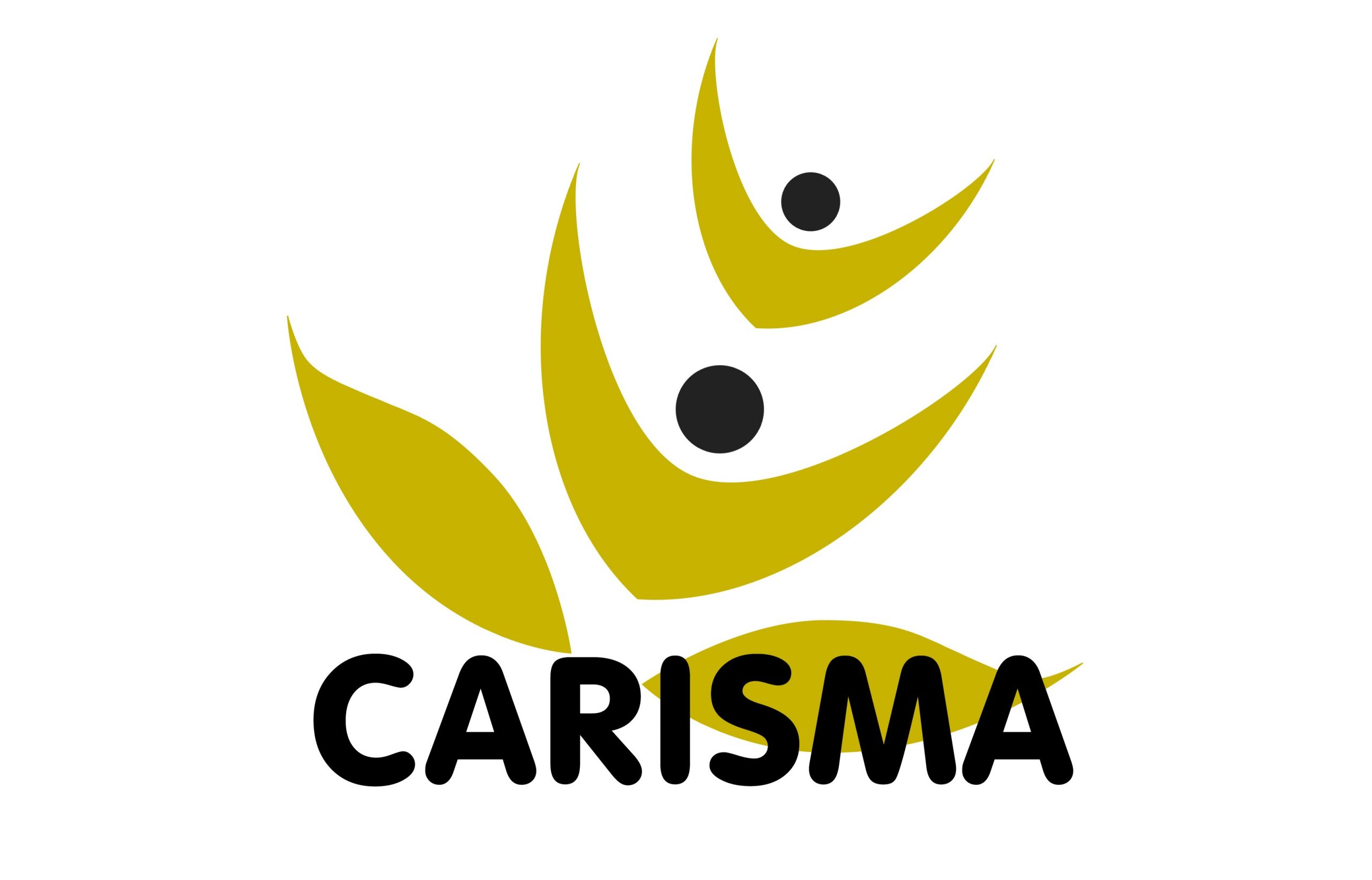 VII Premios Carisma